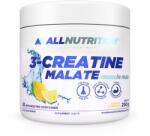 ALLNUTRITION Kreatin-malát (3-Creatine Malate) - allnutrition - 5 990 Ft