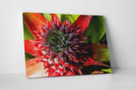 4 Decor Tablou canvas : Frunze de ananas - beestick-deco - 69,00 RON