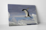 4 Decor Tablou canvas : Pinguin zburator - beestick-deco - 174,00 RON