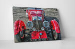 4 Decor Tablou canvas : Red oldster - beestick-deco - 174,00 RON