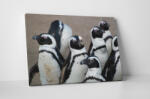 4 Decor Tablou canvas : Grup de pinguini - beestick-deco - 104,00 RON