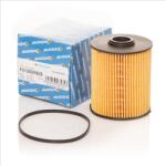 DREISSNER filtru combustibil DREISSNER F0135DREIS (F0135DREIS) - automobilus