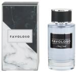 Diane Castel Favoloso for Men EDP 100 ml Parfum