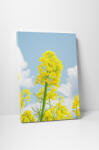 4 Decor Tablou canvas : Floare de rapita - beestick-deco - 174,00 RON