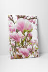 4 Decor Tablou canvas : Magnolia inflorita - beestick-deco - 69,00 RON