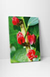 4 Decor Tablou canvas : Flori tropicale - beestick-deco - 174,00 RON