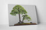 4 Decor Tablou canvas : Bonsai ulm chinezesc - beestick-deco - 104,00 RON