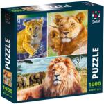De. tail Puzzle De. tail Lion family (DT1000-01_Initiala) Puzzle