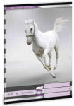 Ars Una füzet A/5 32 lapos szótár, Dream Bar, lovas, 31-32
