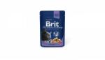 Brit Premium Cat Plic Cu Cod, 10 X 100 Gr