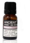  Izsóp illóolaj Ancient 10 ml