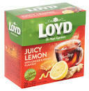 LOYD Hot tea 20*2g