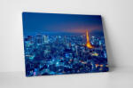 4 Decor Tablou canvas : Tokyo City View And Sky Deck - beestick-deco - 104,00 RON