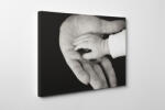 4 Decor Tablou canvas : Gingasie - beestick-deco - 89,00 RON