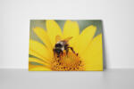 4 Decor Tablou canvas : Floral - beestick-deco - 224,00 RON