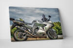 4 Decor Tablou canvas : Kawasaki - beestick-deco - 232,00 RON