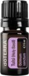 dōTERRA Ulei Esential Tulsi (Busuioc Sfant), 5 ml, DōTerra