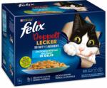 FELIX Doubly Delicious fish selection in jelly 12x85 g