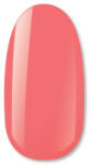 NiiZA Gel Polish 4ml - 401 - jolifodraszkellek