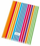 Krpa Caiet Krpa A4 100 coli liniate cu index