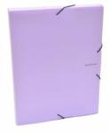 KARTON P+P Cutie de dosare A4 PP PASTELINI cu elastic - violet