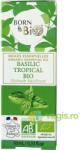 Born To Bio Ulei Esential de Busuioc Tropical Ecologic/Bio 10ml