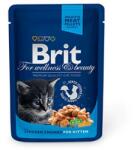 Brit 21x100g Brit Premium Cat Junior plic cu carne de pui hrana umeda pisici junior