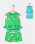 Tongs baby Set elegant bluzita de vara cu pantalonasi pentru fetite Ciucurasi, Tongs baby (Culoare: Verde, Marime: 9-12 luni) (tgs_4271_9)