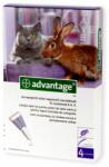 Bayer Advantage 80, Pisica si Iepure, 4 pipete