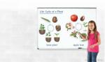 Learning Resources A növények fejlődése (mágneses) (LR-LER6045)