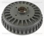 TRISCAN Tambur frana TRISCAN 8120 25220C (8120 25220C) - automobilus