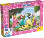 Lisciani Puzzle 2 in 1 Lisciani Disney Princess, Plus, 24 piese (N01073993_001w) Puzzle