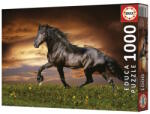 Educa 1000 db-os puzzle - Ügető paripa (19555) (19555)