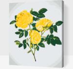  Festés számok szerint - Sárga vadrózsák Méret: 30x40cm, Keretezés: Keret nélkül (csak a vászon)