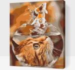  Festés számok szerint - Aranyhal macska szemszögéből Méret: 30x40cm, Keretezés: Keret nélkül (csak a vászon)