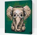  Festés számok szerint - Szemüveges elefánt Méret: 30x40cm, Keretezés: Keret nélkül (csak a vászon)