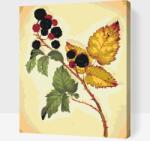  Festés számok szerint - Vintage szeder Méret: 30x40cm, Keretezés: Keret nélkül (csak a vászon)