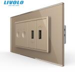 LIVOLO Intrerupator tactil dublu + priza dubla USB, 4M, cu rama sticla Auriu (VL-FC2-2FCUS-2AP-P9E)