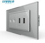 LIVOLO Intrerupator tactil dublu + priza dubla USB, 4M, cu rama sticla Gri (VL-FC2-2FCUS-2IP-P9E)