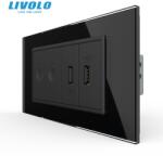 LIVOLO Intrerupator tactil dublu + priza dubla USB, 4M, cu rama sticla Negru (VL-FC2-2FCUS-2BP-P9E)
