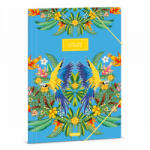 Ars Una A/4 DOSSZIÉ CATALINA ARARATITI (5274) 23 (50212743) (50212743)