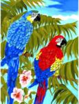 Royal & Langnickel Prima mea pictura pe numere junior mica, Doi Papagali (PJS35) Carte de colorat