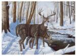Royal & Langnickel Pictura pe nr avansati mare, Binecuvantarea iernii 32x40 cm (PAL43) Carte de colorat