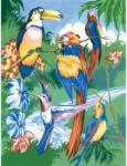 Royal & Langnickel Prima mea pictura pe numere junior mica, Pasari tropicale (PJS15) Carte de colorat