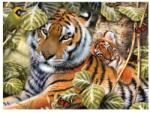 Royal & Langnickel Prima pictura pe numere junior mare, Tigru in umbra (PJL36) Carte de colorat