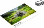 Fomei PRO Pearl 265 A4/50 (EY5253)