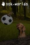 Sokpop Collective Sok-worlds (PC)