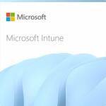 Microsoft Intune Endpoint Privilege Management Subscription (1 Year) (CFQ7TTC0RP6S-0001_P1YP1Y)