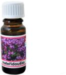 Kozák Illóolaj - Kakukkfű - 10 ml - Michal