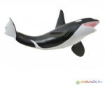 CollectA - Kardszárnyú delfin - Gyilkos Bálna - Orka